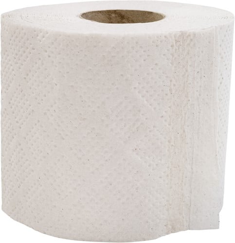 Toiletpapier recycled 2-laags (16x4)
